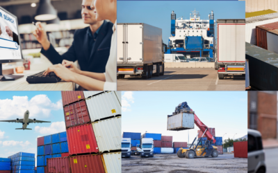 Going the Extra Mile: How a Supply Chain Consultant Can Revolutionise Last-Mile Delivery